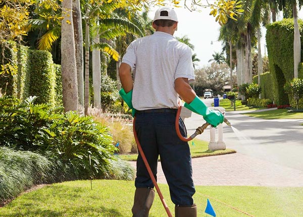 About Hector AR Pest Control Pros